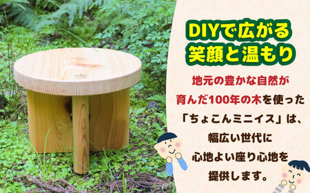 ひのき 組立て ミニイス 「ちょこん」/ ヒノキ ひのき 檜 椅子 いす DIY 組み立て / 亀山市 / 三栄林産株式会社[AMAD008]
