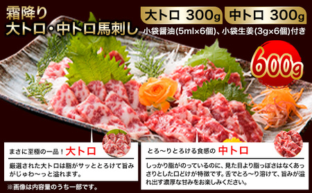 大トロ中トロ馬刺し盛り 600g 南阿蘇L（阿蘇牧場）《60日以内に出荷予定(土日祝除く)》馬刺し 熊本 南阿蘇村 大トロ 中トロ 食べ比べ 馬肉 霜降り