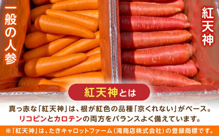 真っ赤なにんじん「紅天神」10kg AHCU002 にんじん