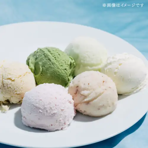 茨城県産 大地の恵み 特製 ジェラート 和梨 栗 各2000ml