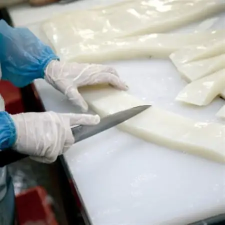 せーいか お刺身用 約1kg(5～9柵)【配送不可地域：離島】【1549415】