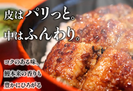 うなぎ 国産 蒲焼 2尾 うなぎ[備長炭手焼き 400g]