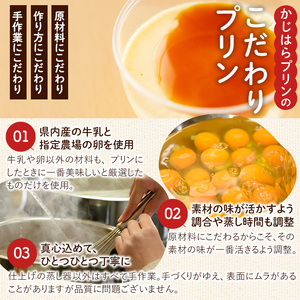 a529-C 濃厚なめらかプリン(焦がしキャラメリーゼ10個)【かじはらプリン】姶良市 ぷりん お菓子 スイーツ おやつ デザート 洋菓子 冷凍 長期保存 手づくり プリン専門店