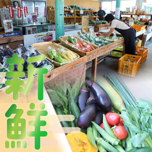 【ふるさと納税】＜年4回 定期便はちきんの店 野菜 セット 7~10品＞ 野菜詰め合わせ 詰合せ 高知の野菜 旬の野菜【冷蔵】高知県 佐川町