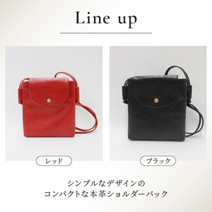 本革 スマート ショルダーバッグ  ブラック バック