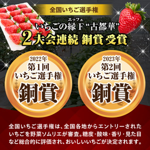 【2027年1月上旬～2月下旬発送】贈答用いちご【数量限定】『古都華』 いちご 数量限定 古都華 12～15粒 化粧箱 国産 国産苺 ストロベリー 果物 果実的野菜 フルーツ デザート おやつ 糖度 濃厚 香り 鮮やか 甘い ビタミン 奈良県産 お取り寄せ 贈答用 送料無料