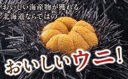 塩水ウニ 500g (100g×5個) 生うに ウニ 雲丹 ムラサキウニ バフンウニ 生鮮 無添加 魚介類 塩水 生食 北海道 松前町 送料無料 MATM002