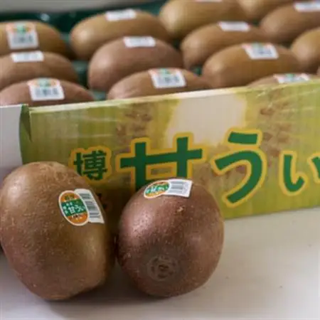 【先行受付】福岡オリジナルブランド　キウイ「甘うぃ」約1.5kg箱(12-15玉)(大牟田市)_果物・フルーツ 柿（カキ）  かき_【配送不可地域：離島】【1217266】