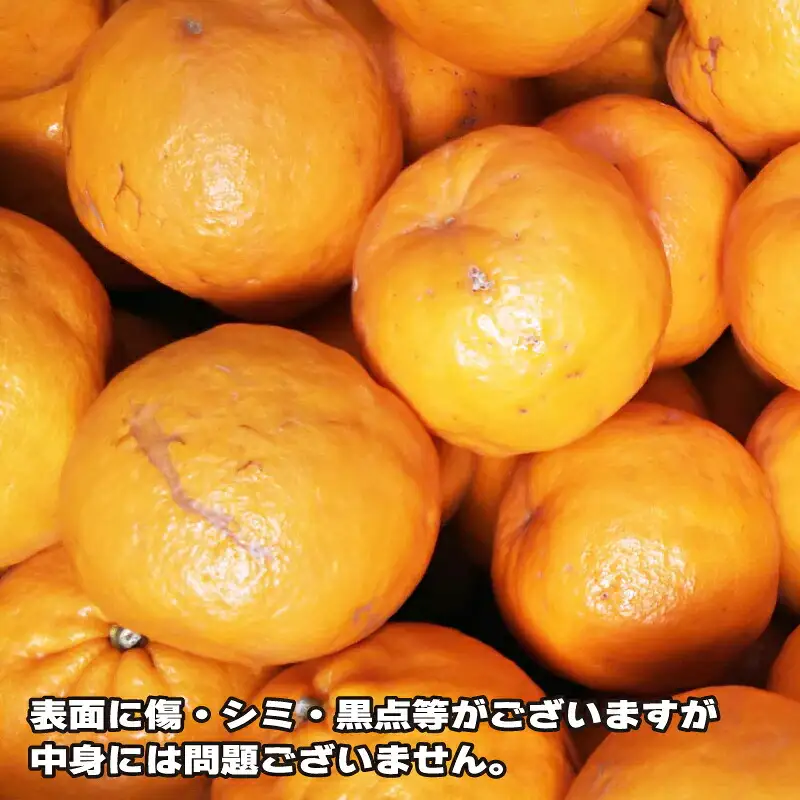 訳あり ポンカン みかん 約5.5kg ふるくとファーム 柑橘柑橘柑橘柑橘柑橘 B010-037006