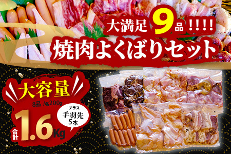 【数量限定】村上精肉店の焼肉よくばり9種セット 1.6kg+手羽先 021-0667
