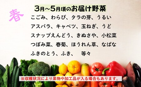 定期便 6ヶ月 旬の野菜セット B 岩手県 北上市 J0095 岩手県産 旬の野菜 詰合わせ セット