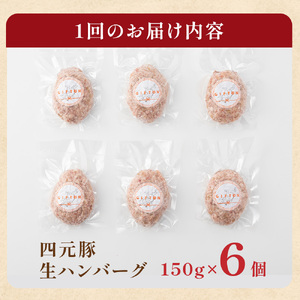 ハンバーグ 900g 四元豚 C0222