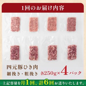  6ヶ月定期便  四元豚 ひき肉 2㎏ 細挽250ｇ×4 粗挽250ｇ×4  合計8パックGIFTONお歳暮 お中元  ギフト プレゼント 母の日 父の日 誕生日 お祝い 卒業祝い 入学祝い バーベキュー BBQ 焼肉 ファミリー パーティー 子供会 肉 セット 豚肉 カット肉 ハンバーグ お鍋   岩手県 北上市 ごえん 株式会社  J0046