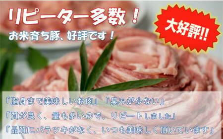 【定期便】黒岩豚太くん 食べつくしコース 4ヶ月連続★（毎月約2.5キロ）小分け 真空 パック （くろいわ産地直売所）岩手県 北上市 O0116 豚肉 ﾛｰｽ しゃぶしゃぶ用 焼肉 ブロック バラ ひき肉 あらびき