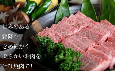 数量限定！ご贈答 国産 和牛 きたかみ牛 上カルビ 焼肉用 750g 数量限定 A5 A4 人気 肉 牛肉 BBQ お歳暮 忘年会 贈答用 牛カルビ 上カルビ カルビ 国産和牛 岩手県 北上市 H0010 （お肉のたかゆう）ブランド牛 国産牛 お正月料理 おせち代わり 冬の贅沢 パーティー向け お歳暮 年末大人気