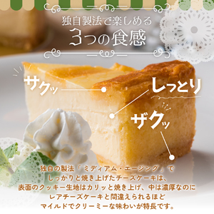 チーズケーキ トロイカ 7号チーズケーキ G0221
