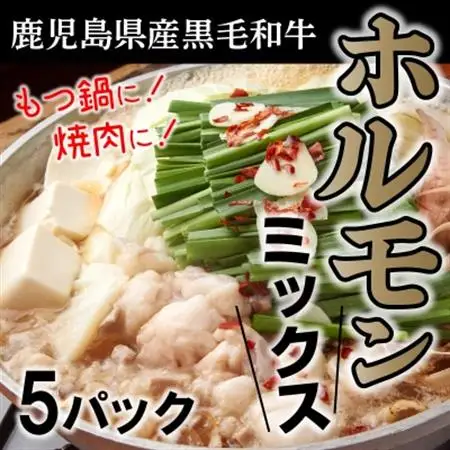 鹿児島県産黒毛和牛ホルモンミックス5パック【配送不可地域：離島】【1185870】