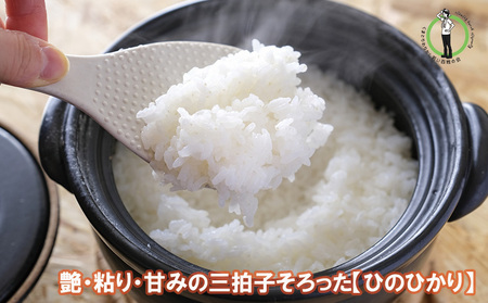 【令和7年度産】大阪府熊取町「わりかし若い百姓の会」の美味しいお米　ひのひかり　5kg