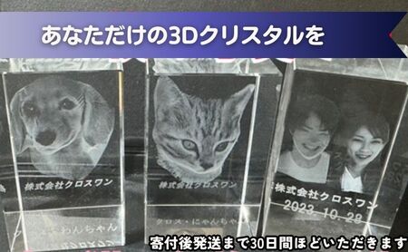 置物 1枚写真で3Dクリスタル 犬・猫・人物の正面写真 3Dクリスタル クリスタル インテリア ペット グッズ 猫 犬 家族 子供 名入れ おしゃれ 猫グッズ 犬グッズ ギフト プレゼント 贈答 贈答品 記念品 お祝い 変わり種 雑貨 東京 東京都 豊島区