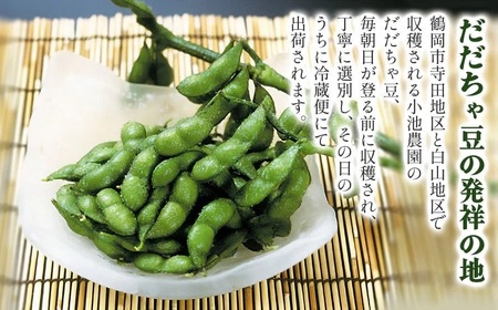 【令和8年産先行予約】【3回定期便】【鶴岡の夏の旬を伝える】 小池農園のだだちゃ豆 【甘露・白山・おうら】 1.8Kg（600g×3袋）K-832