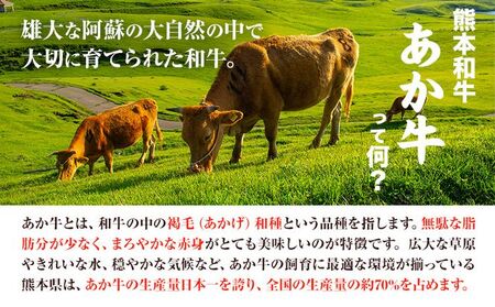 熊本和牛 あか牛 サーロインステーキ 400g