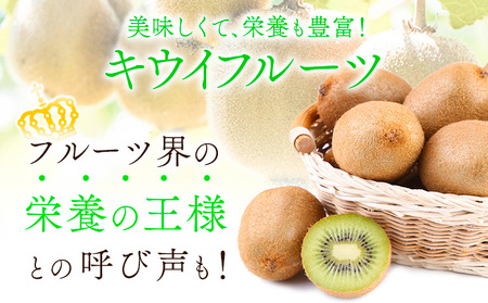 紀の姫キウイフルーツ 約2kg