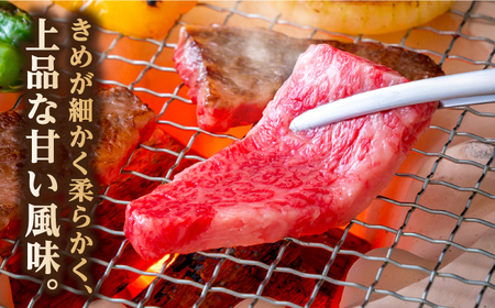 長崎和牛 焼肉用 ロース 約400g 牛肉 小分け[RCJ004] 長崎和牛 ロース 長崎和牛 ロース 長崎和牛 ロース 長崎和牛 ロース 長崎和牛 ロース 長崎和牛 ロース九州 長崎