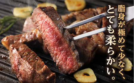【全3回定期便】長崎和牛 ヒレステーキ 約180g×2枚 肉 牛肉[RCJ007] 長崎和牛 ヒレ ステーキ 長崎和牛 ヒレ ステーキ九州 長崎