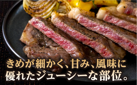 【全12回定期便】長崎和牛 サーロインステーキ 約200g×2枚 牛肉[RCJ015] 長崎和牛 サーロイン ステーキ 長崎和牛 サーロイン ステーキ九州 長崎