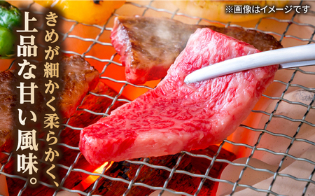 【全6回定期便】長崎和牛 焼肉用 ロース 約400g 牛肉[RCJ017] 長崎和牛 ロース 焼肉 長崎和牛 ロース 焼肉九州 長崎