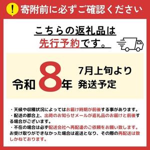 おまかせ野菜セット 2?3人分 約 5kg | 野菜 やさい 旬 の 野菜 長野県 塩尻市