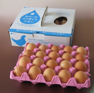 2週間以内に発送 きれいな水で育てた卵 赤たまご 20個  | 保坂農場 
