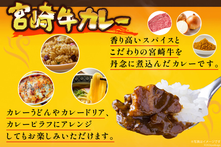 お肉多め！宮崎牛カレー 160g×12食 レトルト  [九州産商 宮崎県 日向市 452061047]