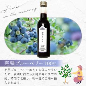 ブルーベリー原液　300ml×2本詰