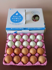 2週間以内に発送 きれいな水で育てた卵 赤たまご 青たまご（ アローカナ ）ミックス 各10個 計20個  | 保坂農場