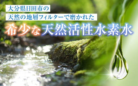 【全2回定期便】日田天領水 10L×1箱 天然水 備蓄 防災 ミネラルウォーター シリカ [AREG015]