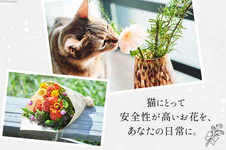 花束 ネコハナ 電子ギフトコード 3,000円分 [ネコハナ 埼玉県 小川町 260]