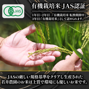 【 プレミアム米 】 令和7年産 米 夢ごこち 10kg×3袋 有機JAS米 転換期間中 夢ごこち こめ 滋賀県 竜王町 若井農園
