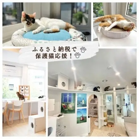 保護猫支援!応援ネームプレート NPO法人ちよだニャンとなる会 千代田区_雑貨   _【1544905】