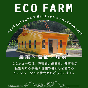 【A55020】ソルベ詰合せ(130g×6個) 国産 鹿児島 フルーツ 果物 ジャム 加工品 手作り ソルベ デザート ランダム 冷蔵 【えこふぁーむ】