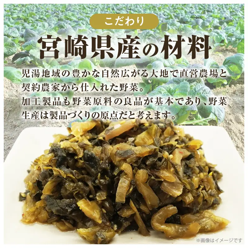 ＼ポスト投函／旨ごま高菜(150g) 漬物 おかず 野菜 加工品 国産_T025-0105