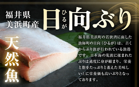 天然！美浜町産「日向ぶり」 ぶりカツ 約450g（約150g × 3袋）【ブランド ぶり ブリ 鰤 海鮮 海産物 魚介類 ブリカツ カツレツ 人気 惣菜 おかず おつまみ 国産 福井 冷凍 揚げ物 フライ 簡単調理】 [m36-a037]