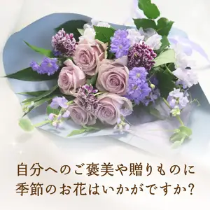【毎月お届け定期便】季節の花束 旬のお花をお届けします ≪12回お届け≫ T10054