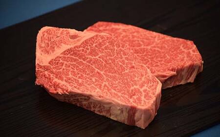 山形牛A-5ランクの赤身希少部位「ヒレ」150g×2枚 F2Y-4692