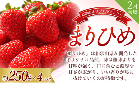 【2～3・7・9月 全3回】紀州和歌山産旬のフルーツセット（いちご・桃・ピオーネ）【UT95】【Z91152-tkb401】
