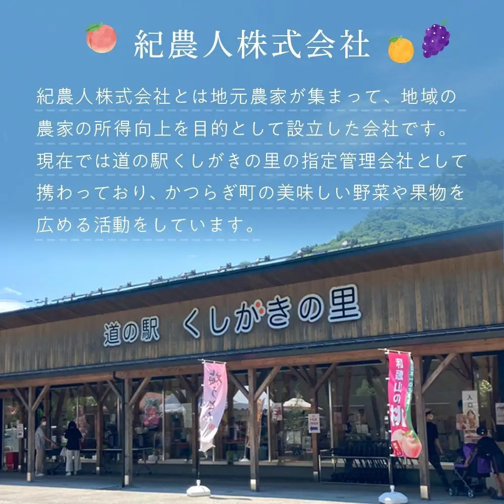 桃 極上秀品 約2kg 6～8個入［先行予約］［2026年7月末から8月末順次発送］こだわり農家厳選［KG19］