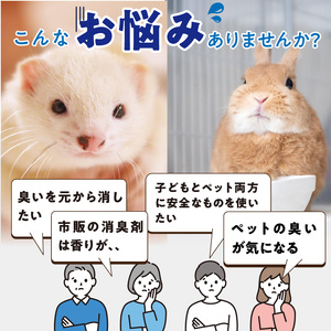 高機能ミネラル水 ペット糞尿用消臭剤エースデュー_高機能 ミネラル水 ペット 糞尿用 消臭剤 エースデュー 10ml×1個 1000倍 希釈 ケミカルフリー アルコールフリー 子ども 安全 ソファ カーペット お部屋 庭 スプレー 散布 犬 猫 小動物 糞尿臭 分解 消臭 お取り寄せ 福岡県 久留米市 送料無料 〔Qx049〕