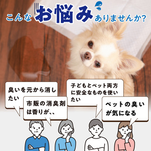 高機能ミネラル水 犬糞尿用消臭剤エースデュー_高機能 ミネラル水 犬 糞尿用 消臭剤 エースデュー 10ml×1個 1000倍 希釈 経済的 ケミカルフリー アルコールフリー 無香料 ソファ カーペット ペット用 トイレ おもちゃ お部屋 庭 スプレー 散布 糞尿臭 分解 消臭 お取り寄せ 福岡県 久留米市 送料無料 〔Qx050〕