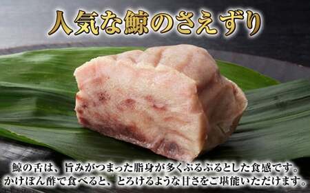【7営業日以内発送】さえずりブロック100×6個セット ／ 鯨 くじら クジラ 鯨刺身 鯨肉 鯨文化 くじら文化 ミンク鯨 長崎県 長崎市