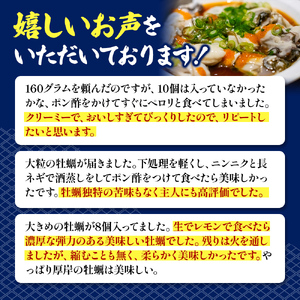 北海道 厚岸産  お手軽 生食用 剥き牡蠣 500g×1パック 【光輝】 [ ムキ牡蠣 むき身 生牡蠣 かき カキ 生 ムキカキ むきがき むき牡蠣 ムキガキ ] 